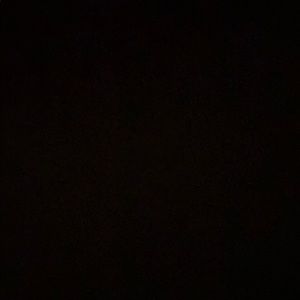 Meet your Posher, Alayna